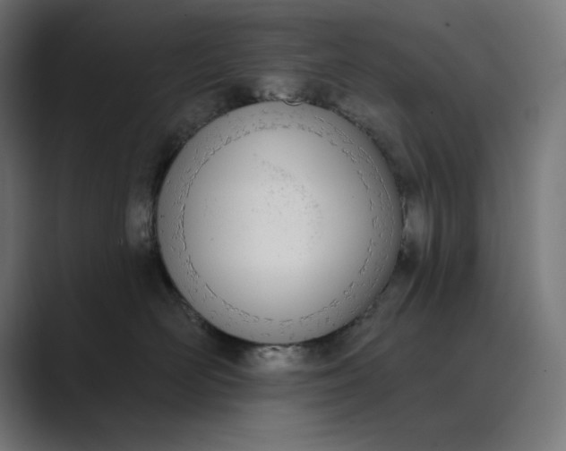X0000089390526200706291337