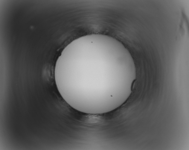 X0000089390528200706291337