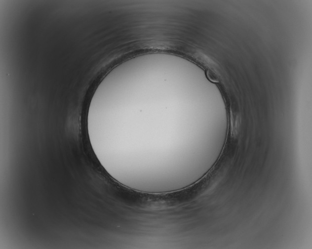 X0000089390531200706291336