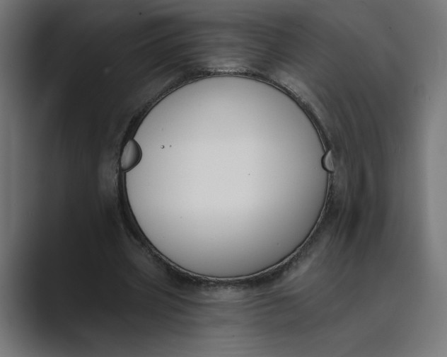 X0000089390533200706291336