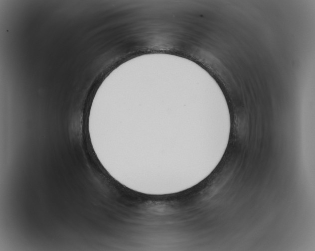 X0000089390534200706291336