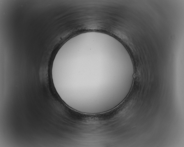 X0000089390535200706291336