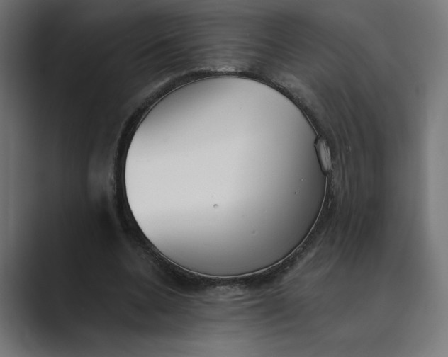 X0000089390536200706291336
