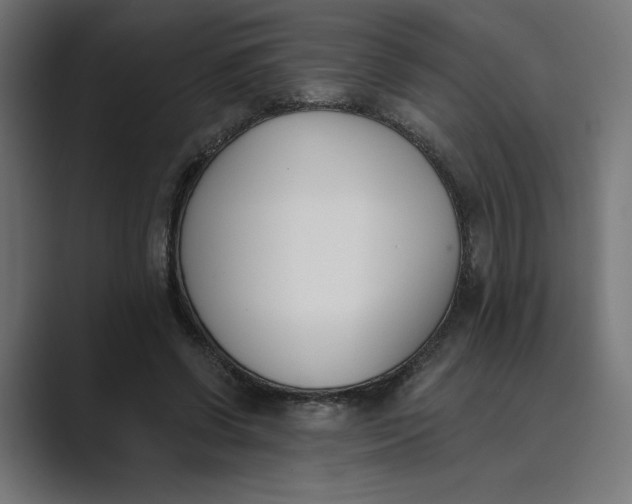 X0000089390542200706291336