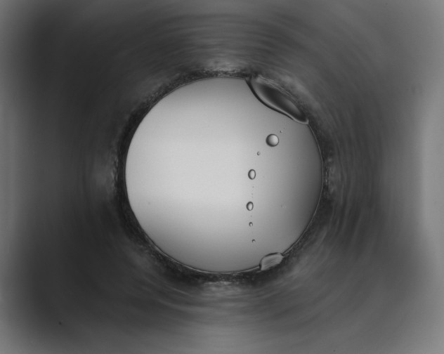 X0000089390544200706291336