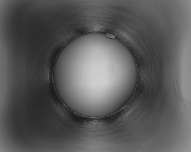 X0000089390546200706291336
