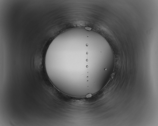 X0000089390548200706291336