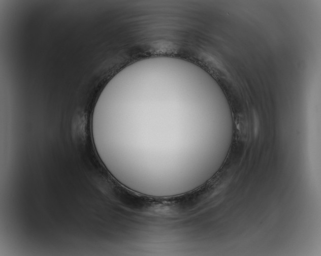 X0000089390550200706291336