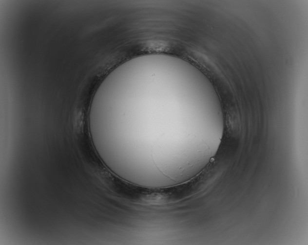 X0000089390551200706291336
