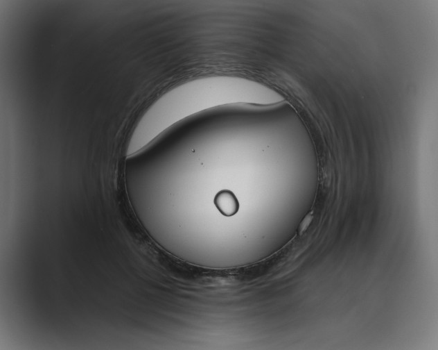 X0000089390552200706291336