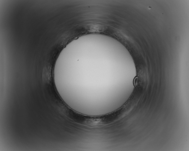 X0000089390554200706291336