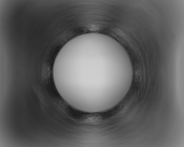 X0000089390555200706291336