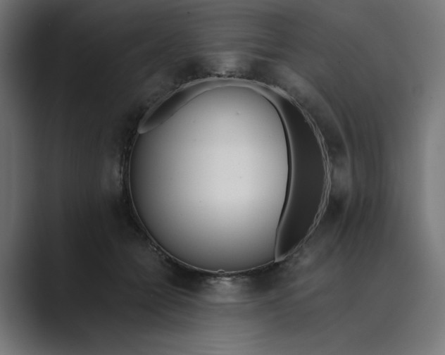 X0000089390558200706291336