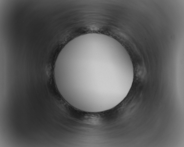 X0000089390559200706291336