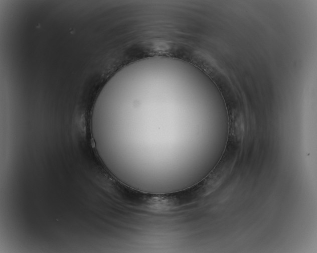 X0000089390562200706291336
