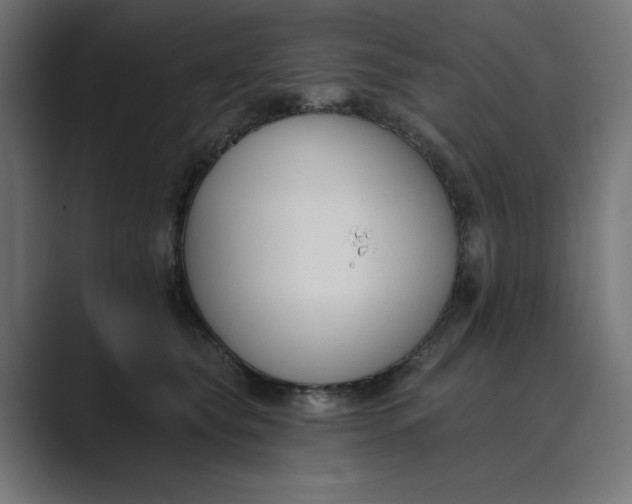X0000089390565200706291337