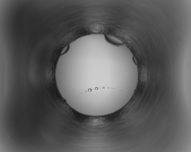 X0000089390569200706291337