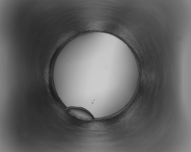 X0000089390578200706291336