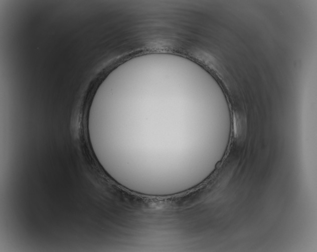 X0000089390579200706291336