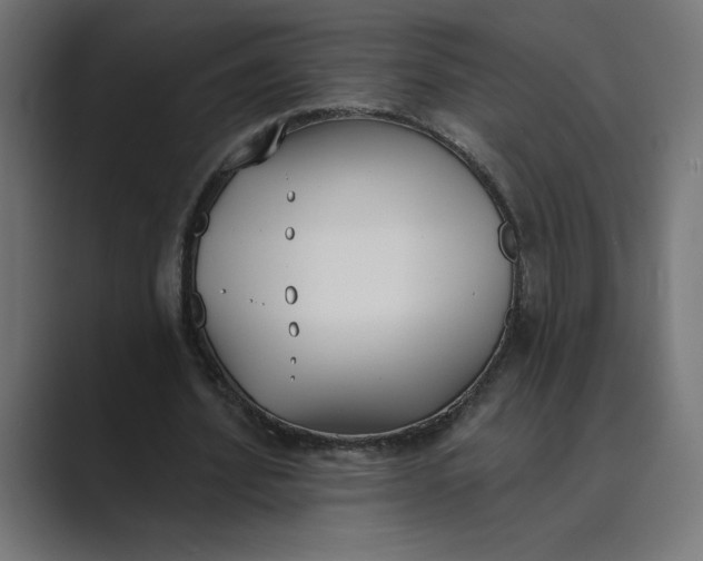 X0000089390580200706291336
