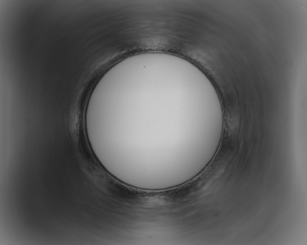 X0000089390583200706291336