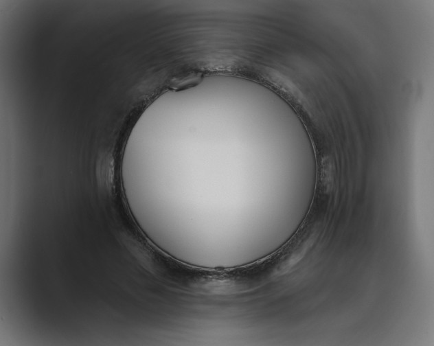 X0000089390589200706291336