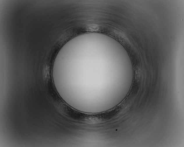 X0000089390598200706291336