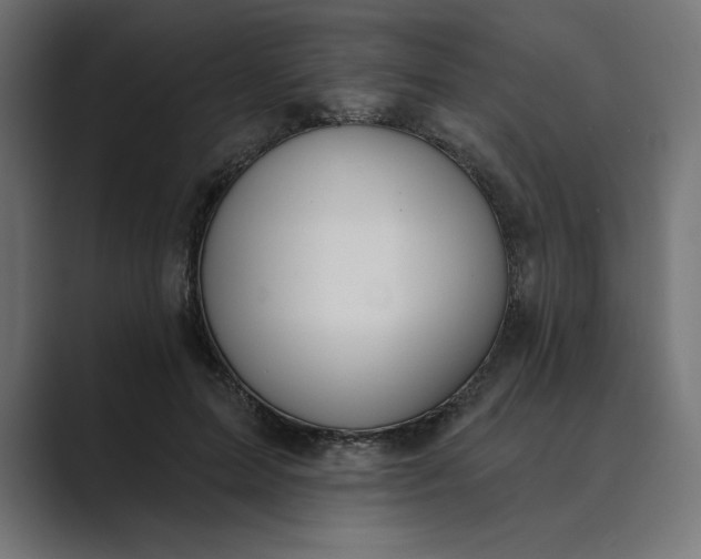 X0000089390599200706291336