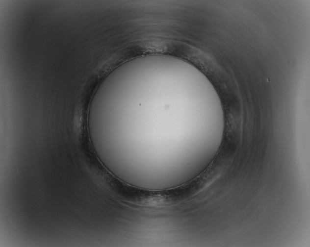 X0000089390600200706291336
