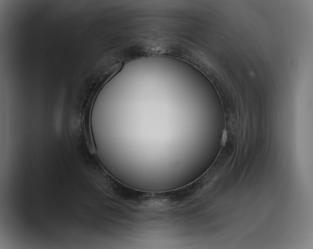 X0000089390601200706291336