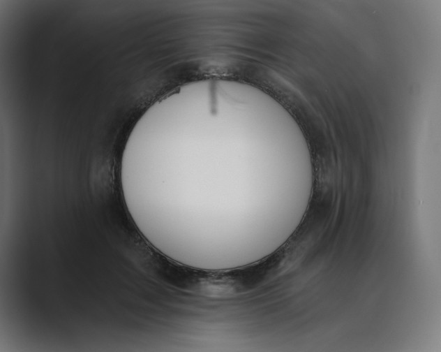 X0000089390603200706291336