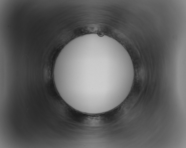 X0000089390606200706291336