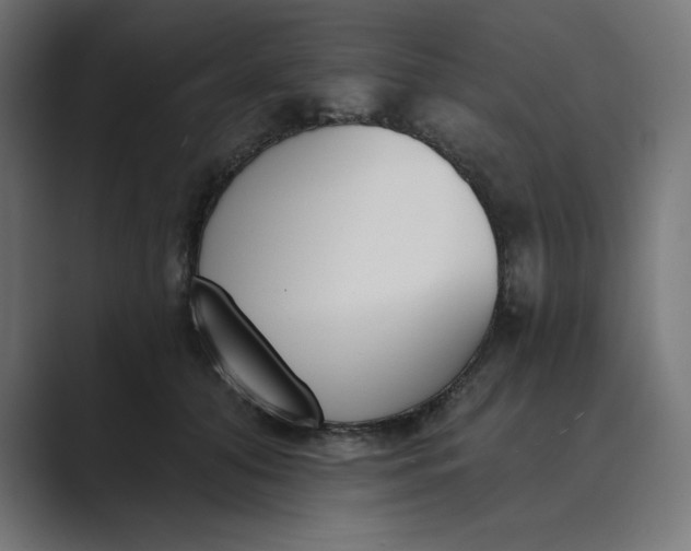 X0000089390608200706291336