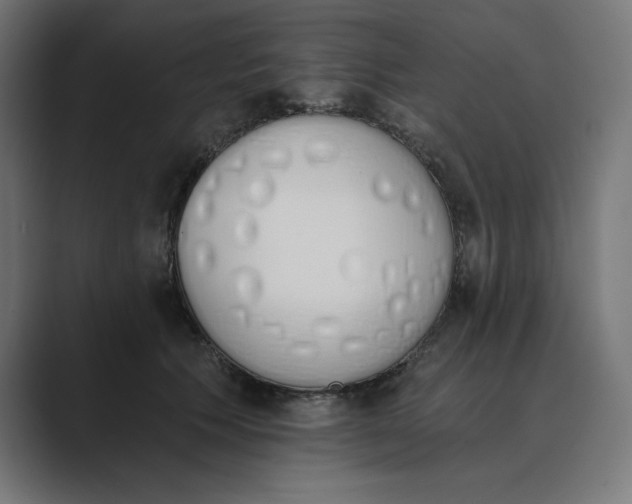 X0000089390609200706291336
