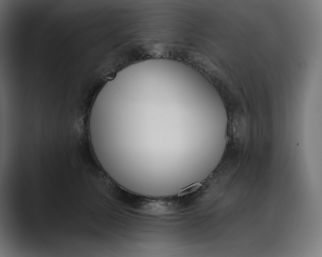 X0000089390611200706291336