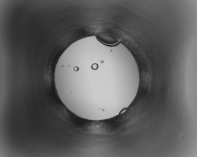 X0000089390612200706291336