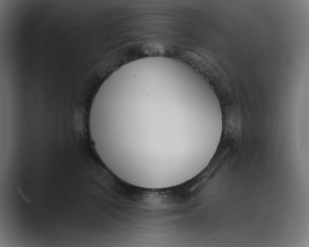 X0000089390616200706291336