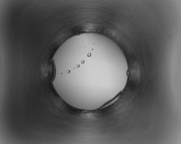 X0000089390620200706291336