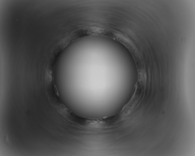 X0000089390621200706291336
