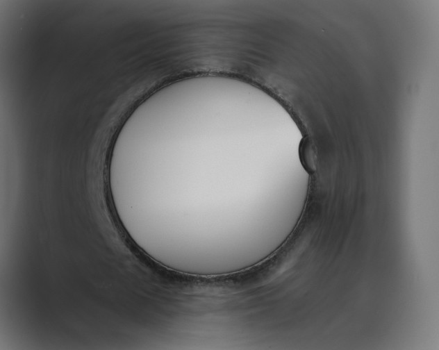 X0000089390625200706291335