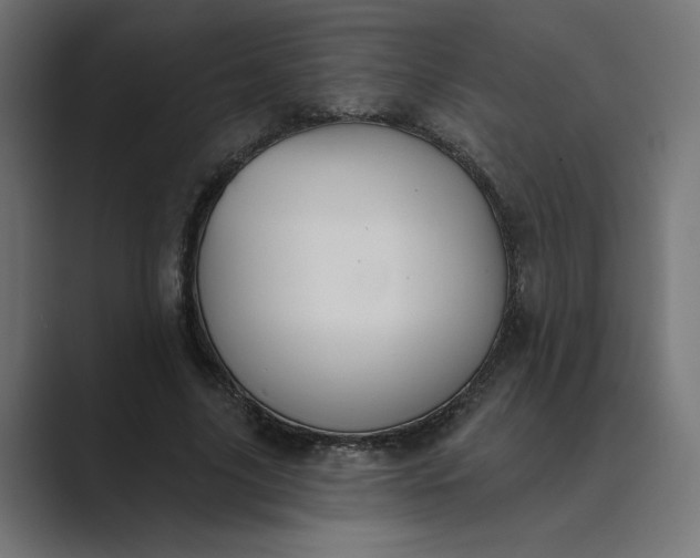 X0000089390635200706291335