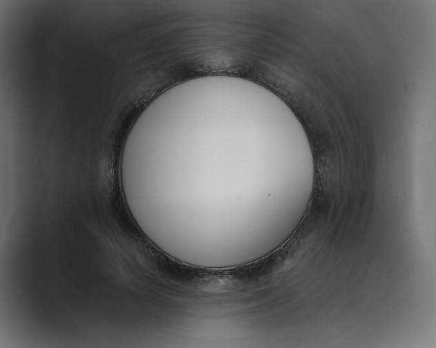 X0000089390642200706291335