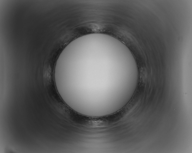 X0000089390650200706291335