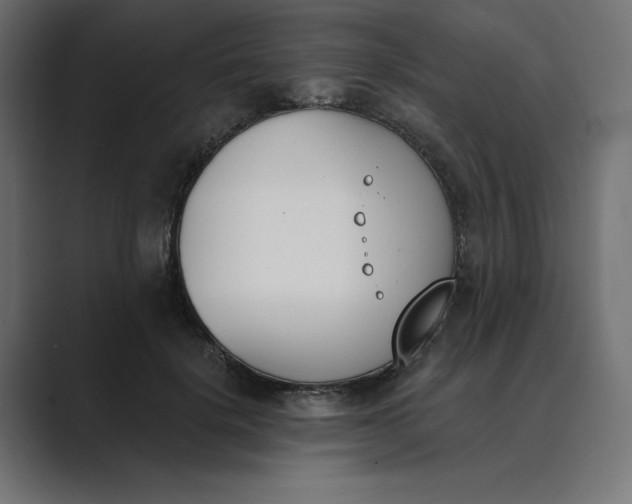 X0000089390652200706291335