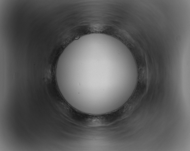 X0000089390655200706291335
