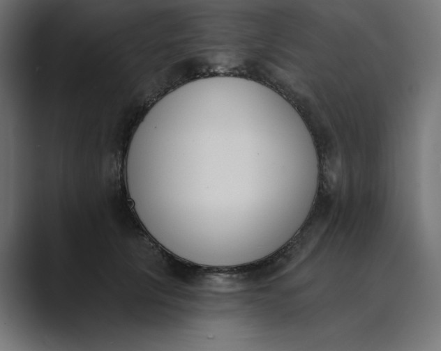 X0000089390657200706291335