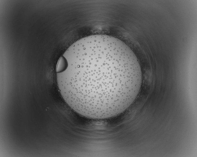 X0000089390659200706291335
