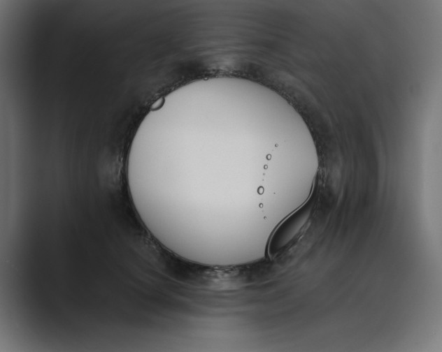 X0000089390660200706291335