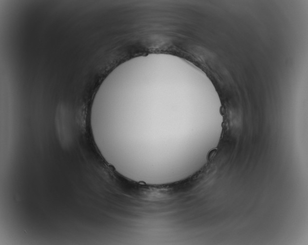 X0000089390664200706291335