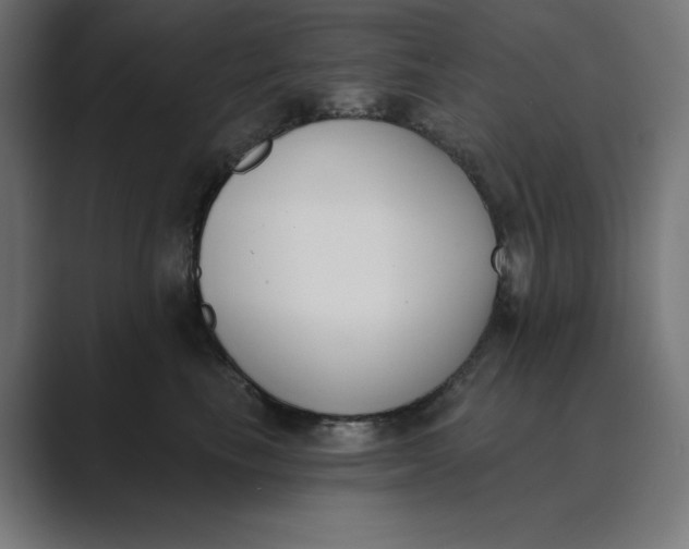 X0000089390665200706291335